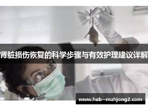 肾脏损伤恢复的科学步骤与有效护理建议详解